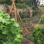 Uitzicht Op De Pellenz * Eich
